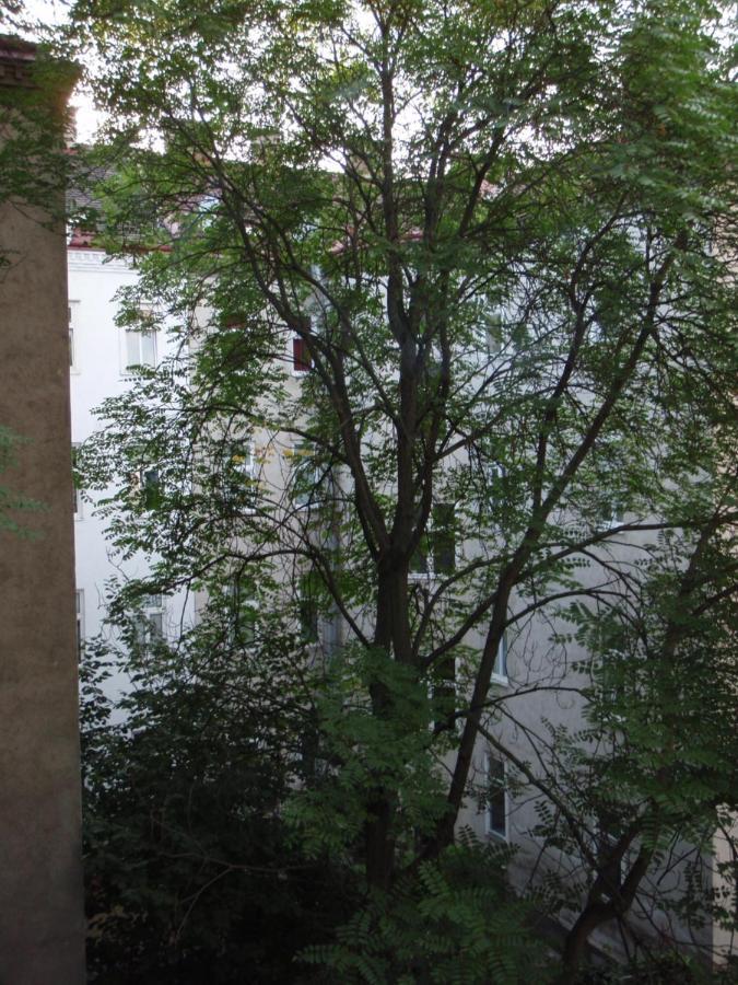 Augartenblick Penthaus 17 - Blick Zum Riesenrad Wina Bagian luar foto
